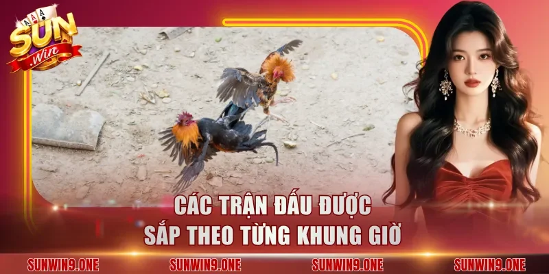 Các trận đấu được sắp theo từng khung giờ