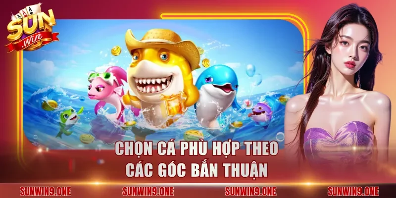 Chọn cá phù hợp theo các góc bắn thuận
