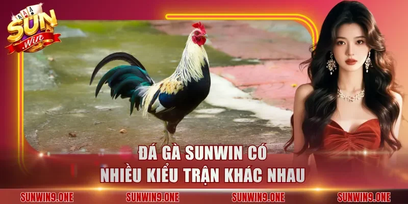 Đá gà Sunwin có nhiều kiểu trận khác nhau